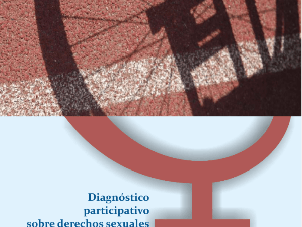 Diagnóstico 2014: Derechos Sexuales y Reproductivos de las Mujeres con&nbsp;Discapacidad